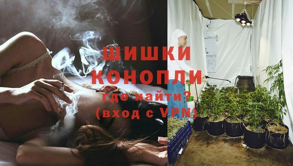 марки lsd Бородино