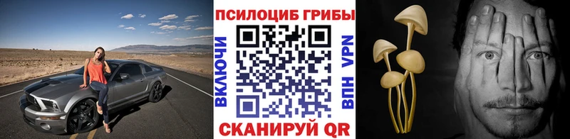 Галлюциногенные грибы Psilocybe Новосокольники